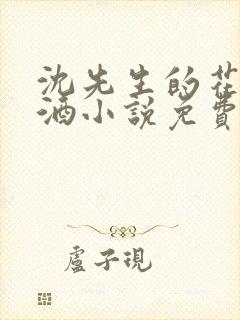 沈先生的花式调酒小说免费阅读