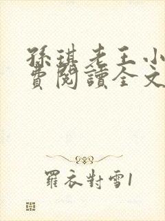 孙琪老王小说免费阅读全文无弹窗