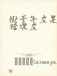 树膏牛皮是什么档次皮封面