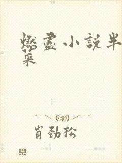 燃尽小说半截白菜封面