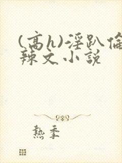 (高h)淫趴伦辣文小说封面