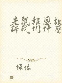 老鼠报恩故事告诉我们什么道理