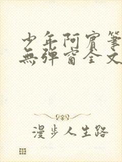 少年阿宾笔趣阁无弹窗全文免费阅读