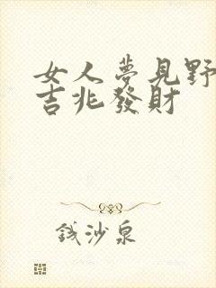 女人梦见野兔是吉兆发财封面