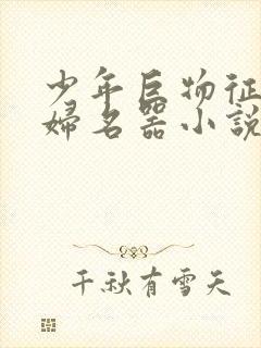 少年巨物征服美妇名器小说