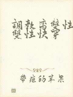 调教脔双性美人双性快穿
