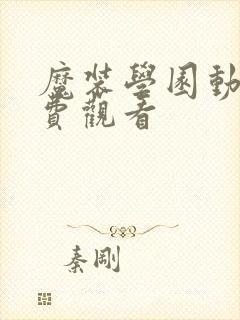 魔装学园动漫免费观看