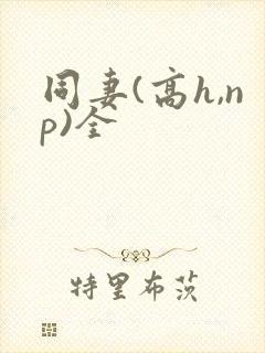 同妻(高h,np)全