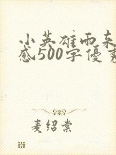 小英雄雨来读后感500字优秀封面