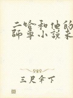 二哈和他的白猫师尊小说未删封面