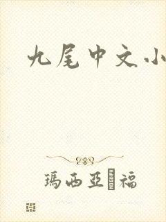 九尾中文小说网