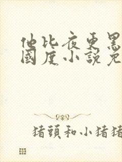 他比夜更黑无罪国度小说免费全文阅读