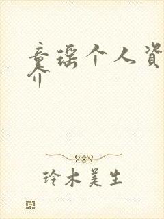 童瑶个人资料简介