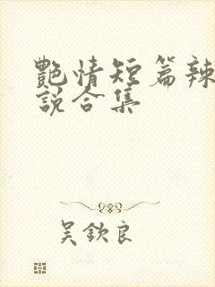 艳情短篇辣文小说合集