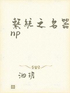 系统之名器攻略np