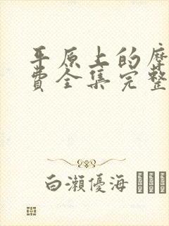 平原上的摩西免费全集完整版