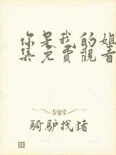 你是我的姐妹全集免费观看封面