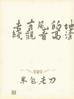 去有风的地方在线观看高清电视剧