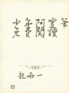 少年阿宾笔趣阁免费阅读