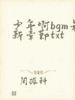 少年啊bgm最新章节txt