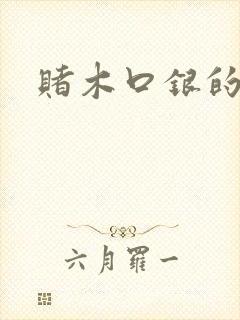 赌木口银的小说封面