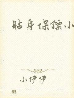 贴身保镖小说封面