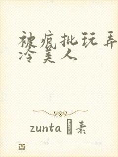 被疯批玩弄的清冷美人