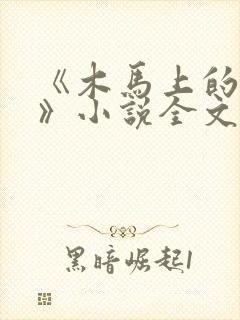 《木马上的皇帝》小说全文免费阅读封面