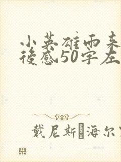 小英雄雨来的观后感50字左右封面