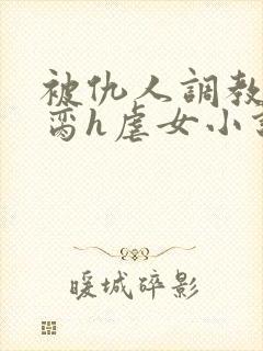 被仇人调教成禁脔h虐女小说