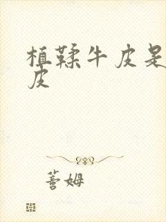 植鞣牛皮是什么皮