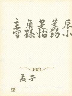 主角是叶辰夏若雪孙怡的小说