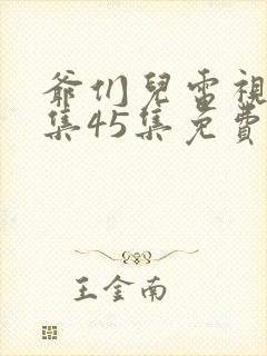 爷们儿电视剧全集45集免费在线观看