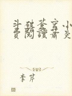 斗破苍穹小说免费阅读萧炎封面