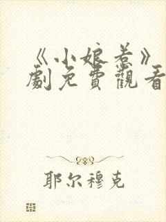 《小娘惹》电视剧免费观看全集