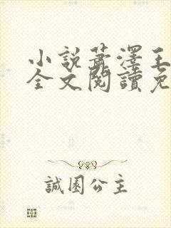 小说萧泽王雪凤全文阅读免费