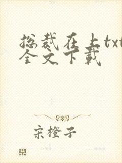 总裁在上txt全文下载