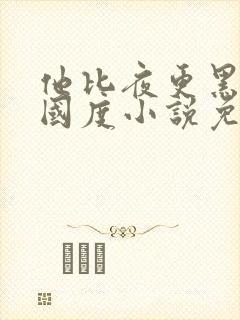 他比夜更黑无罪国度小说免费阅读讲的什么