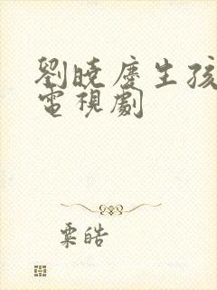 刘晓庆生孩子的电视剧封面