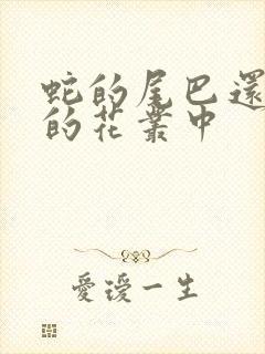 蛇的尾巴还在我的花丛中封面