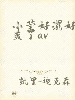 小莹好湿好紧太爽了av