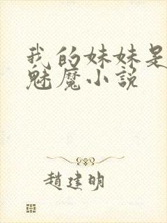 我的妹妹是噬精魅魔小说封面