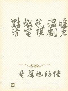 点燃我温暖你高清电视剧免费观看