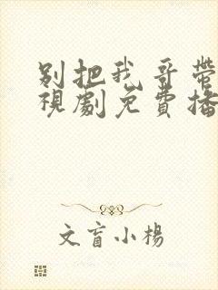 别把我哥带走电视剧免费播放观看