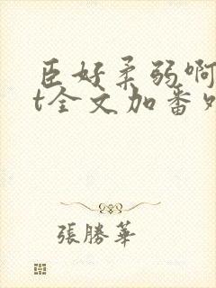 臣好柔弱啊txt全文加番外封面