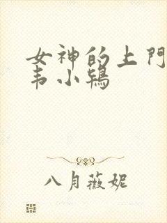 女神的上门豪婿韦小鸨封面