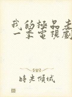 我的极品老婆第一季电视剧免费观看