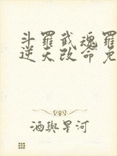 斗罗武魂罗三炮逆天改命免费封面