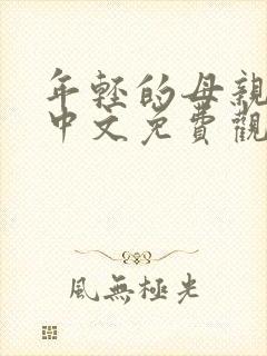 年轻的母亲韩剧中文免费观看完整版在线天