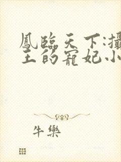 凤临天下:摄政王的宠妃小说小说